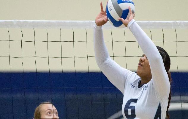 Volleyball Falls on the Road at Irvine Valley, 3-0