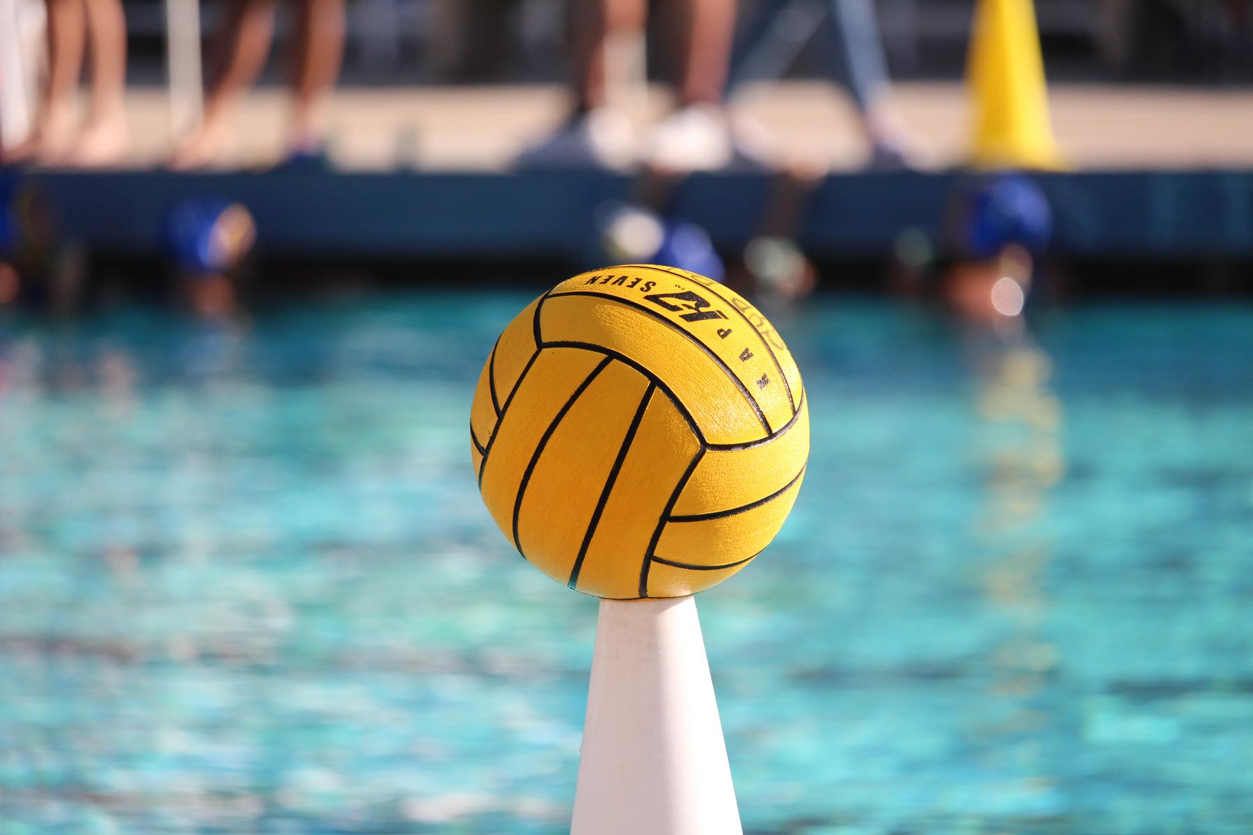 Water Polo Off to Hot Start Under New Leadership