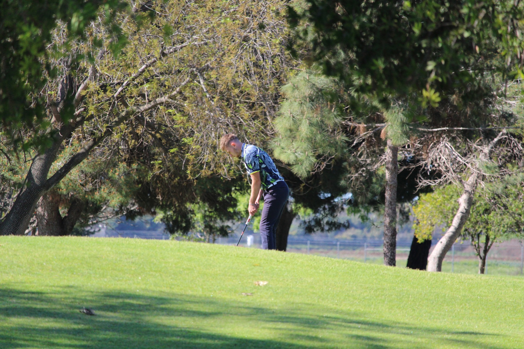 Men's Golf Sits in 4th Place After First Three OEC Tournaments