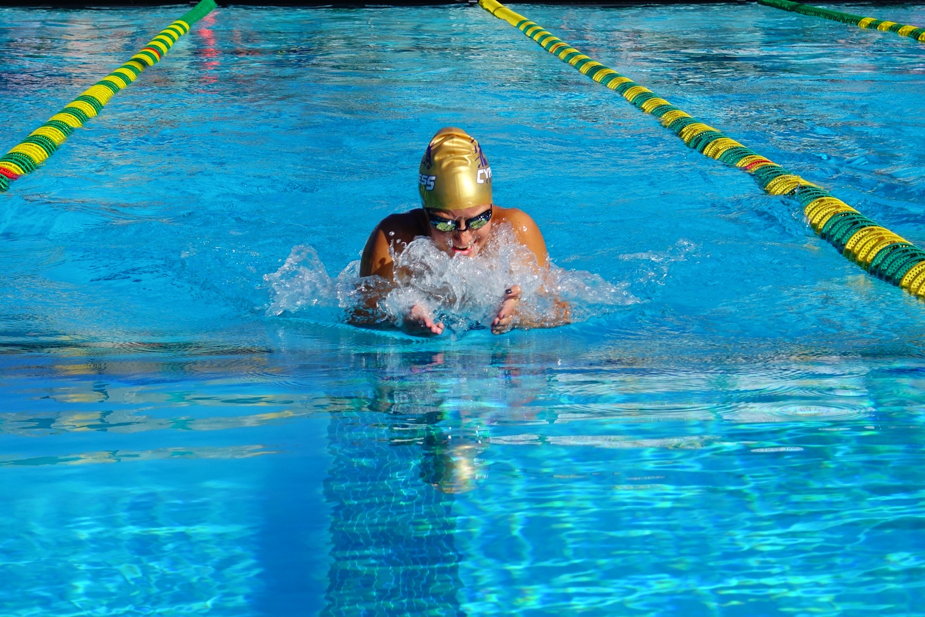 Swim and Dive Finishes Regular Season at Pasadena City Invitational